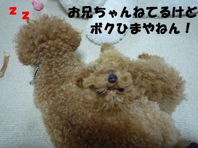 お兄ちゃ~ん遊ぼ!