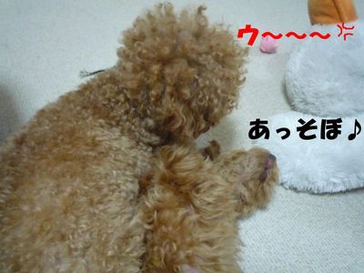 お兄ちゃ~ん遊ぼ!