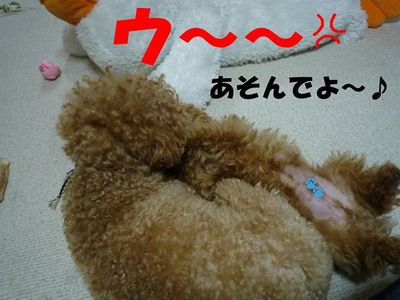 お兄ちゃ~ん遊ぼ!