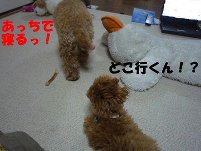 お兄ちゃ~ん遊ぼ!