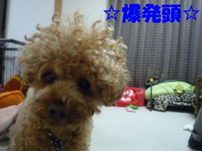 お兄ちゃ~ん遊ぼ!