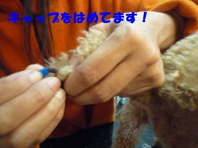 ネイルキャップ交換!