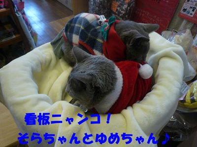 ネイルキャップ交換!