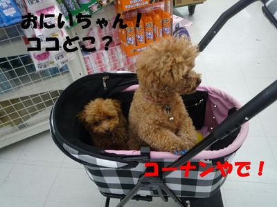 自家用ポルシェ?でお買い物