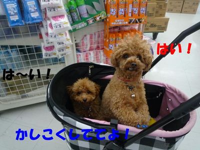 自家用ポルシェ?でお買い物