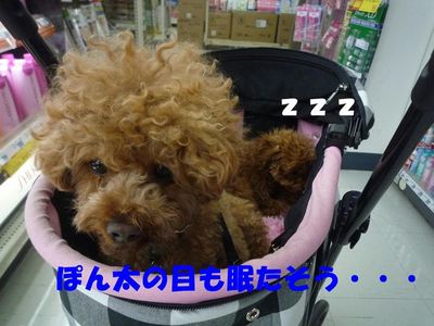 自家用ポルシェ?でお買い物