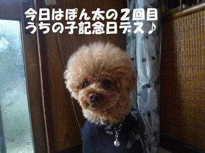 バトル時・・牙出すのはやめようよ!