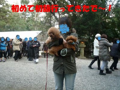初詣へ行ってノリノリのぽん太