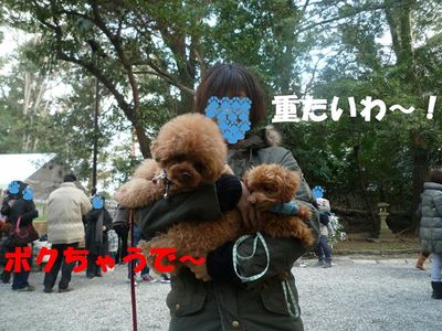 初詣へ行ってノリノリのぽん太