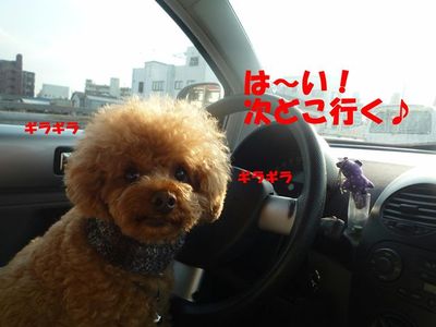 初詣へ行ってノリノリのぽん太