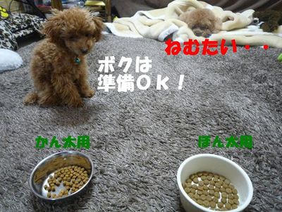 兄と弟の違い!