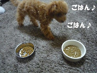 兄と弟の違い!