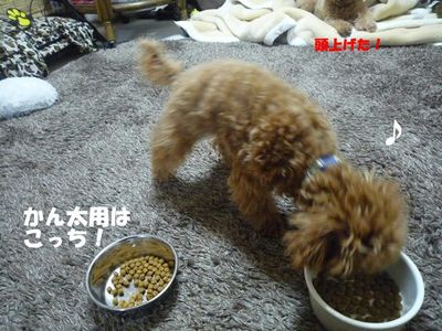 兄と弟の違い!