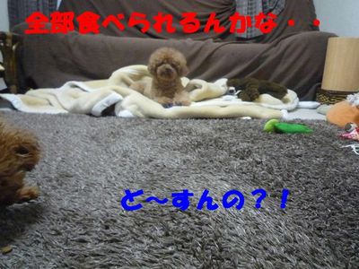 兄と弟の違い!