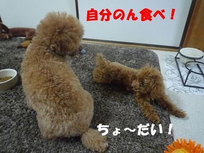 兄と弟の違い!