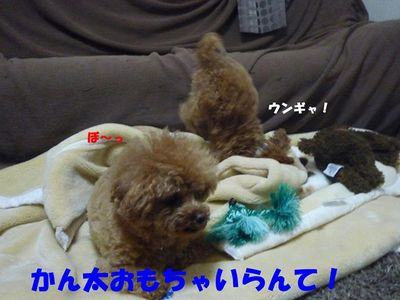 かん太の挑発はしつこい!