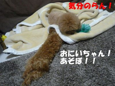かん太の挑発はしつこい!