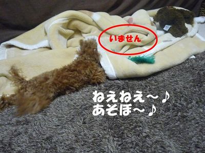 かん太の挑発はしつこい!
