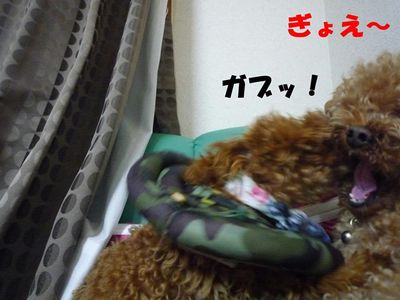2ワン・・・やっぱり強いのは・・・・