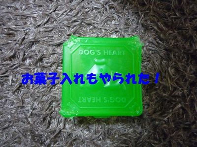 お留守番中のいたずら^^;