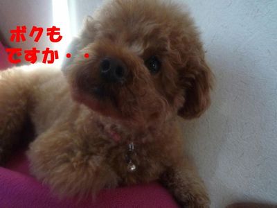 歯磨き&歯石?!