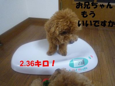 かん太体重測定(7ヶ月20日)