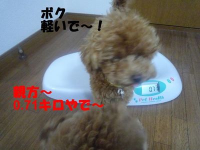 かん太体重測定(7ヶ月20日)