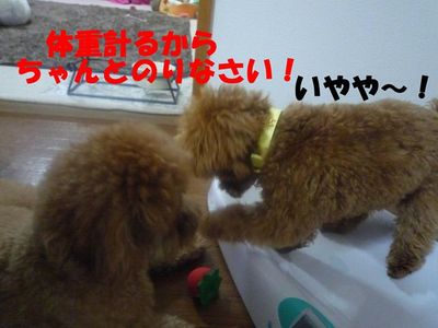 かん太体重測定(7ヶ月20日)