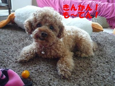 咥えてます!