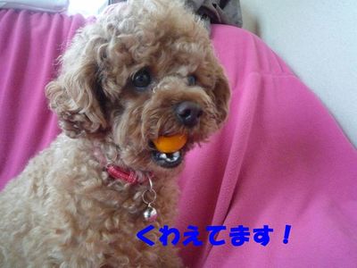 咥えてます!