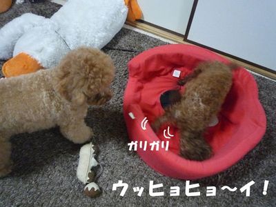 結局は兄が弟に・・・・^^;