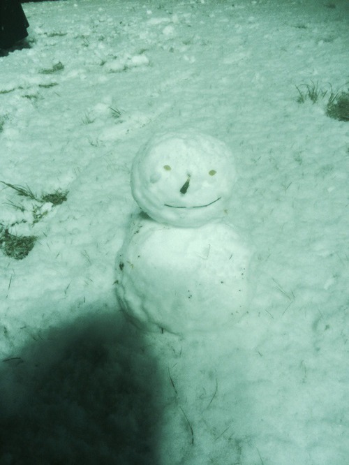 まさかの大雪 まさかの大雪