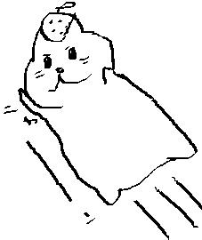 いろいろ