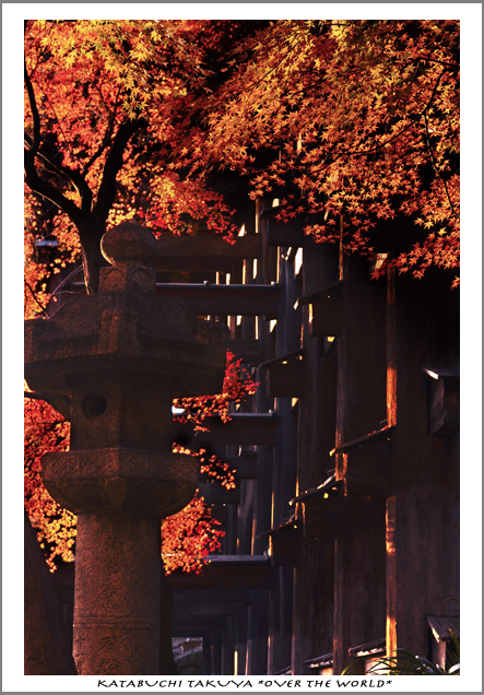 京都清水寺トリップスナップ〜紅葉狩り〜