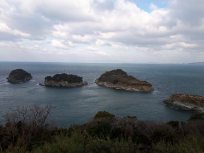 灰干さんま 灰干さんま