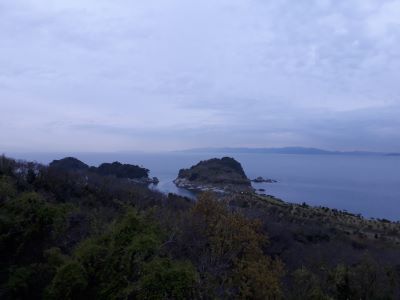 灰干さんま