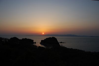 灰干さんま
