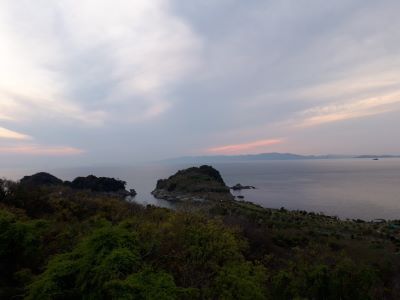 灰干さんま