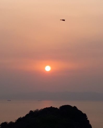 灰干さんま
