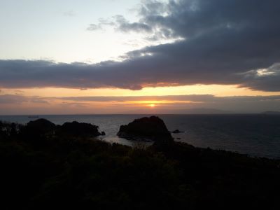 灰干さんま