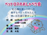 動物さんたちは生きた年数よりももっと大切にしているものがあります