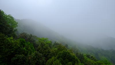 雨の旅行２