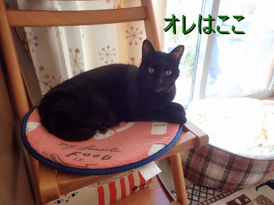 ちっさ！