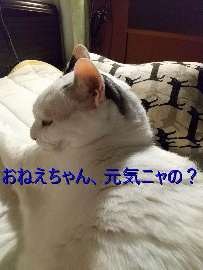 ごきげんさんな姉