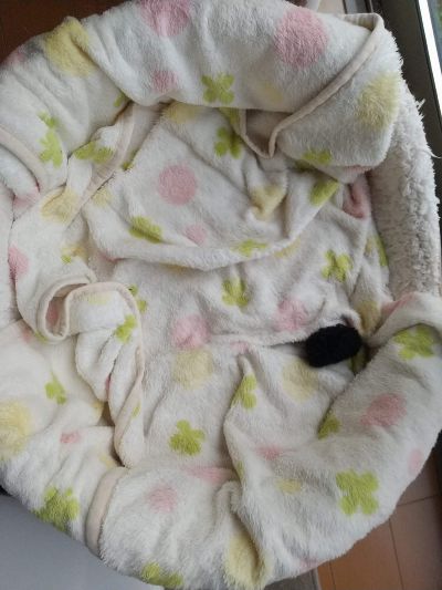 ちっさ！