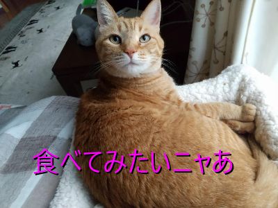 そら豆
