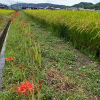 魂だけになると・・・