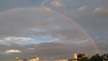 おっきな虹♪