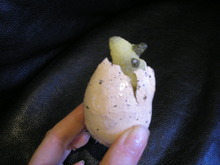 そして・・・