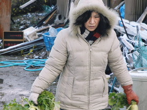 雨にも負けず、雪にも負けず